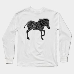 Grevy's zebra foal Long Sleeve T-Shirt